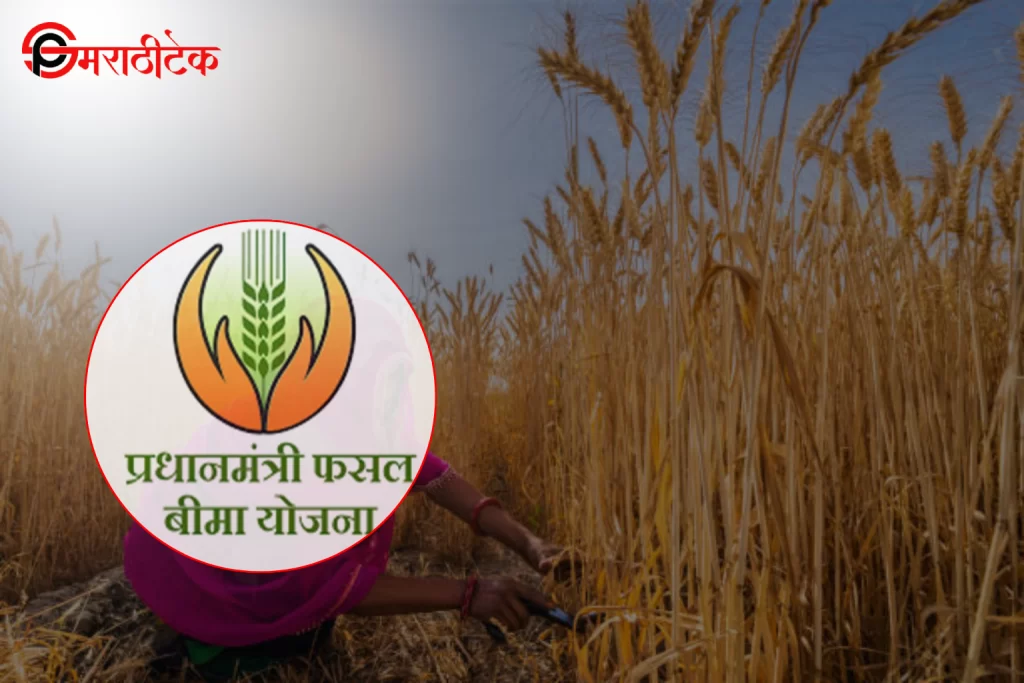 Pradhan Mantri Fasal Bima Yojana लाभ घेत असलेले भारतीय शेतकरी